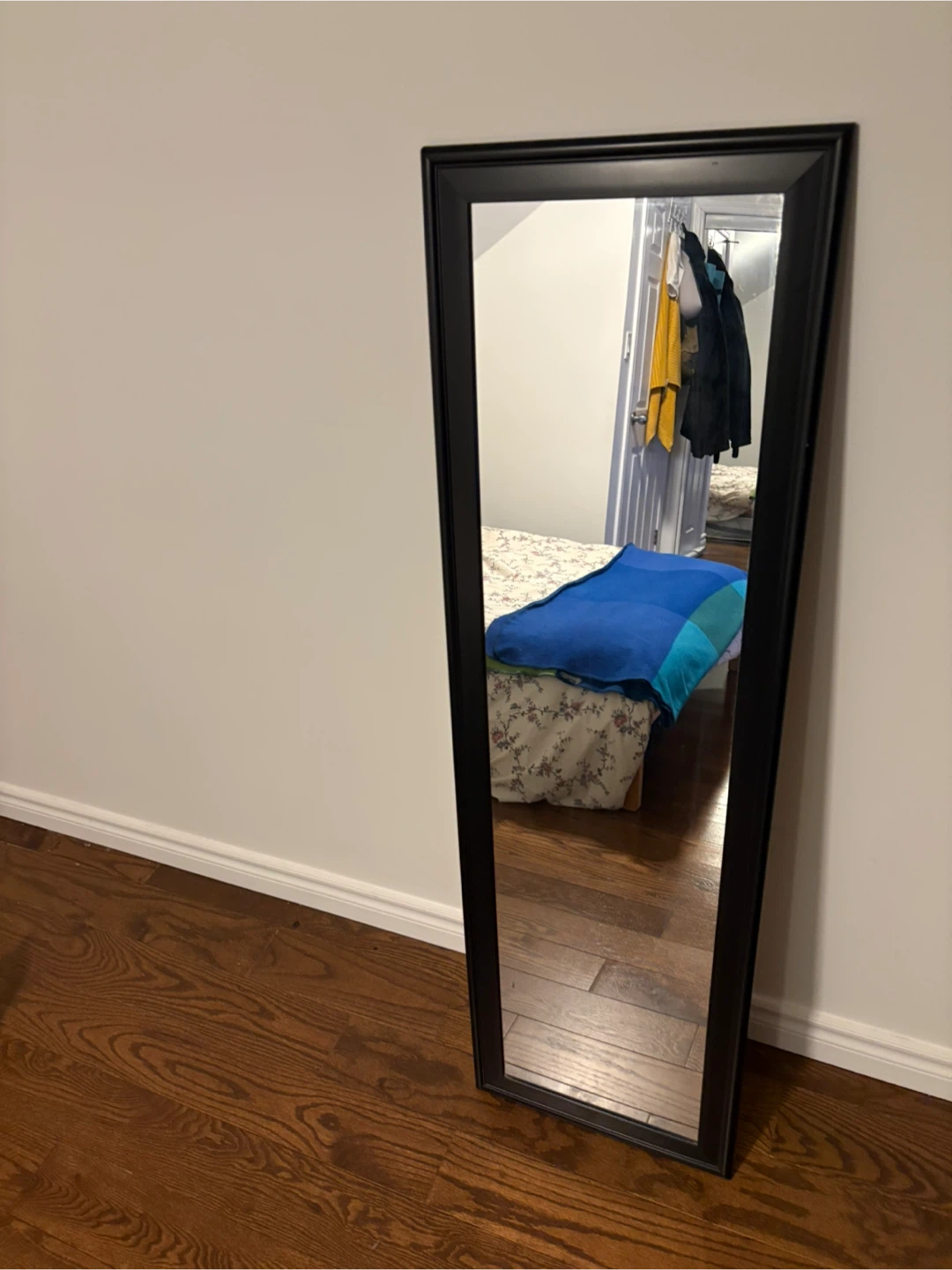 Tall Mirror -$3