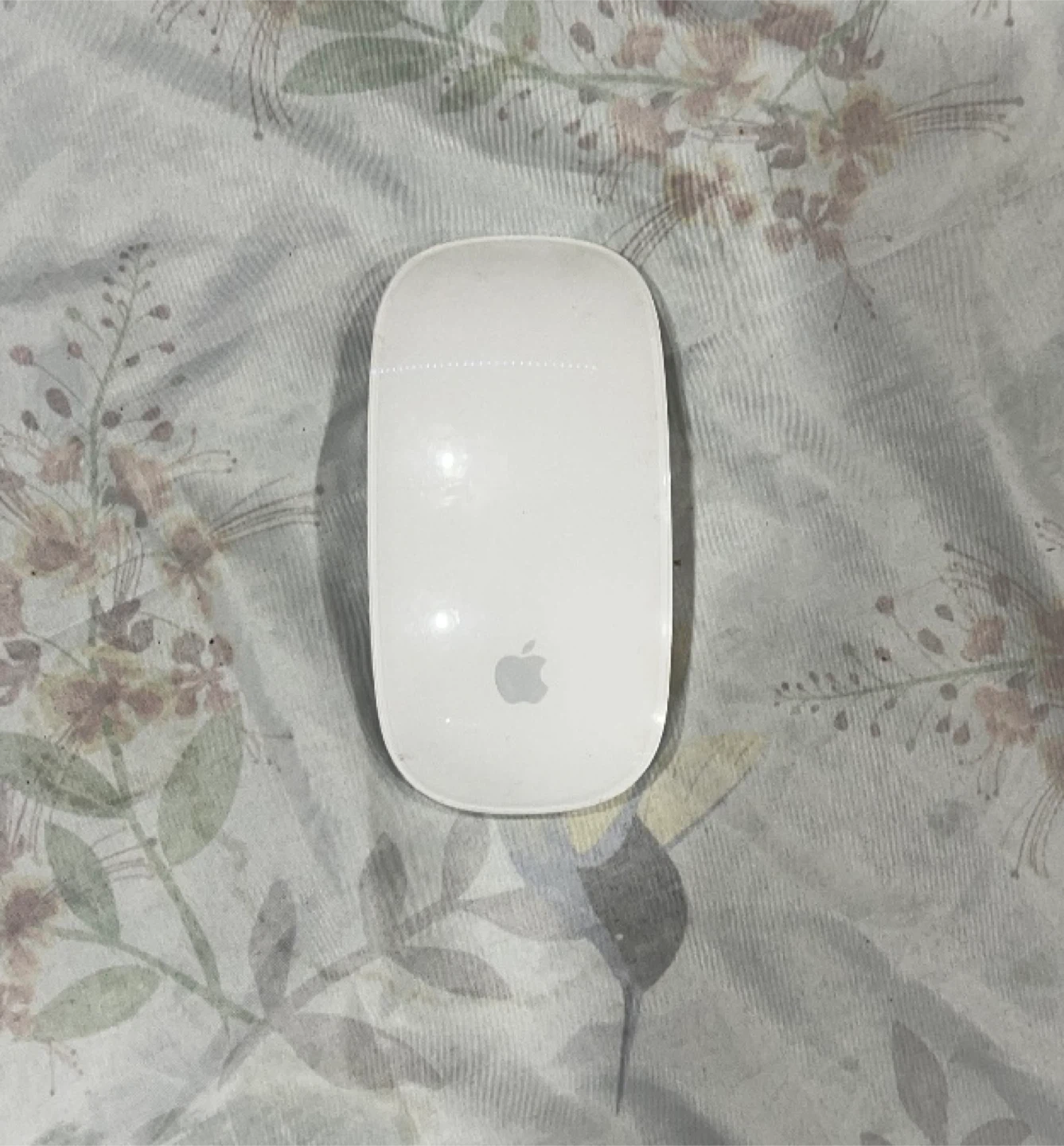 🧡Apple Magic Mouse (EUC)