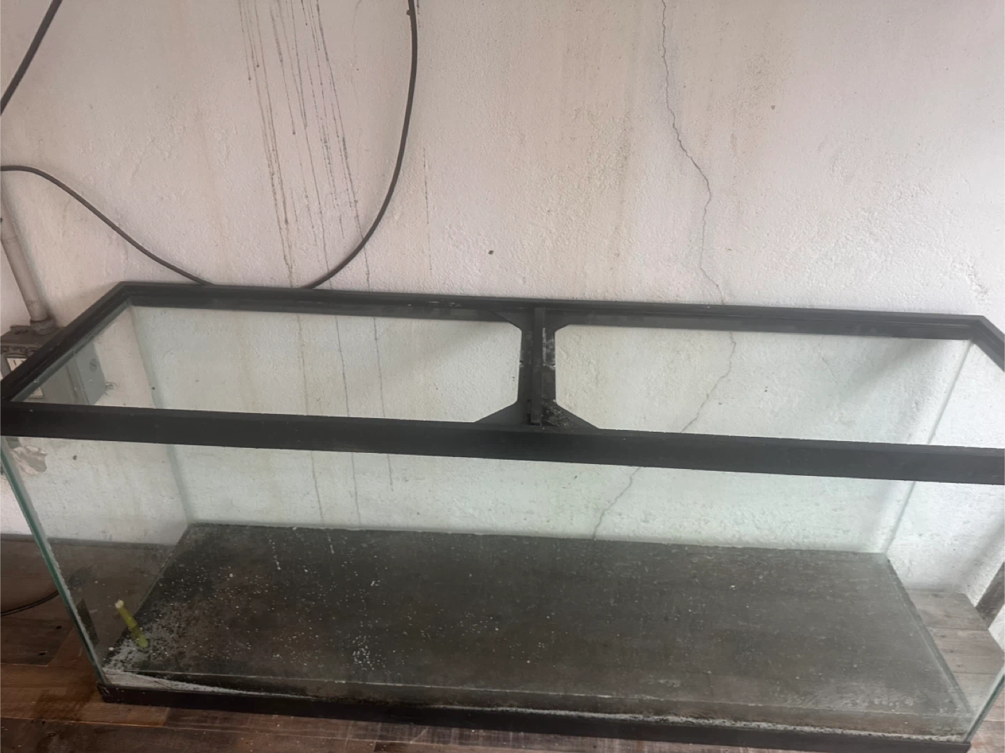 Large Glass Aquarium Tank - photo 3