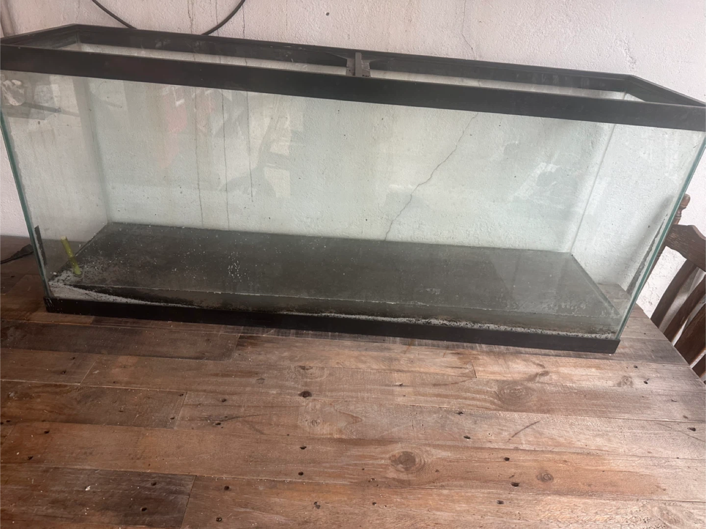 Large Glass Aquarium Tank