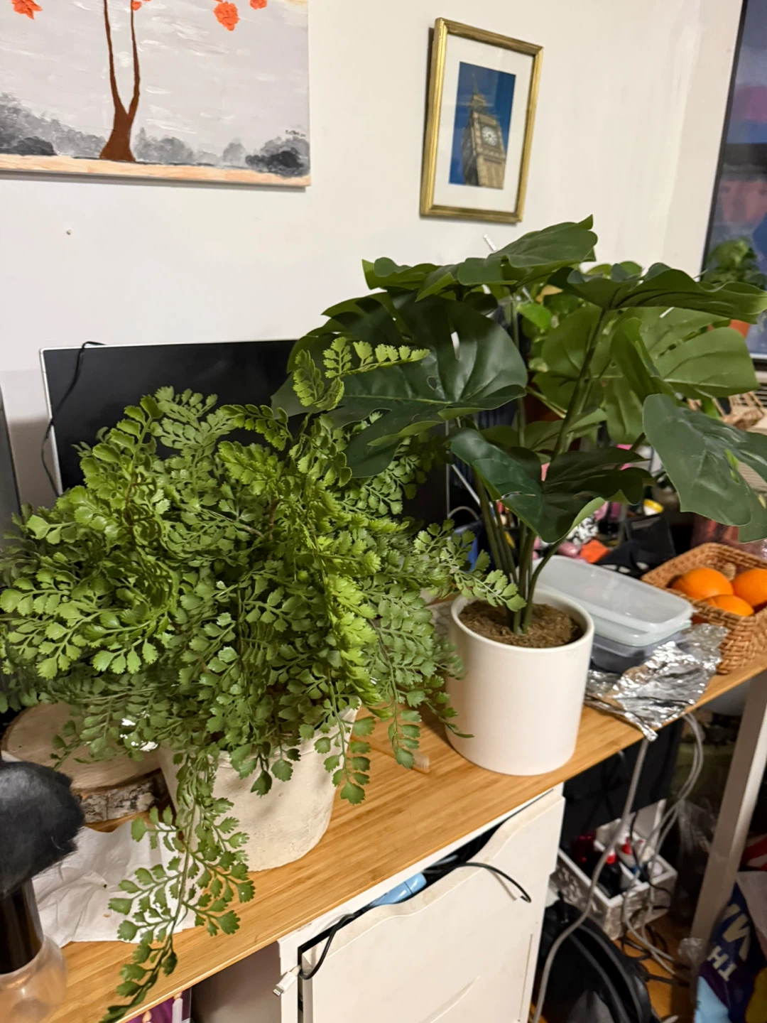 3 Artificial Monstera White Pot+2