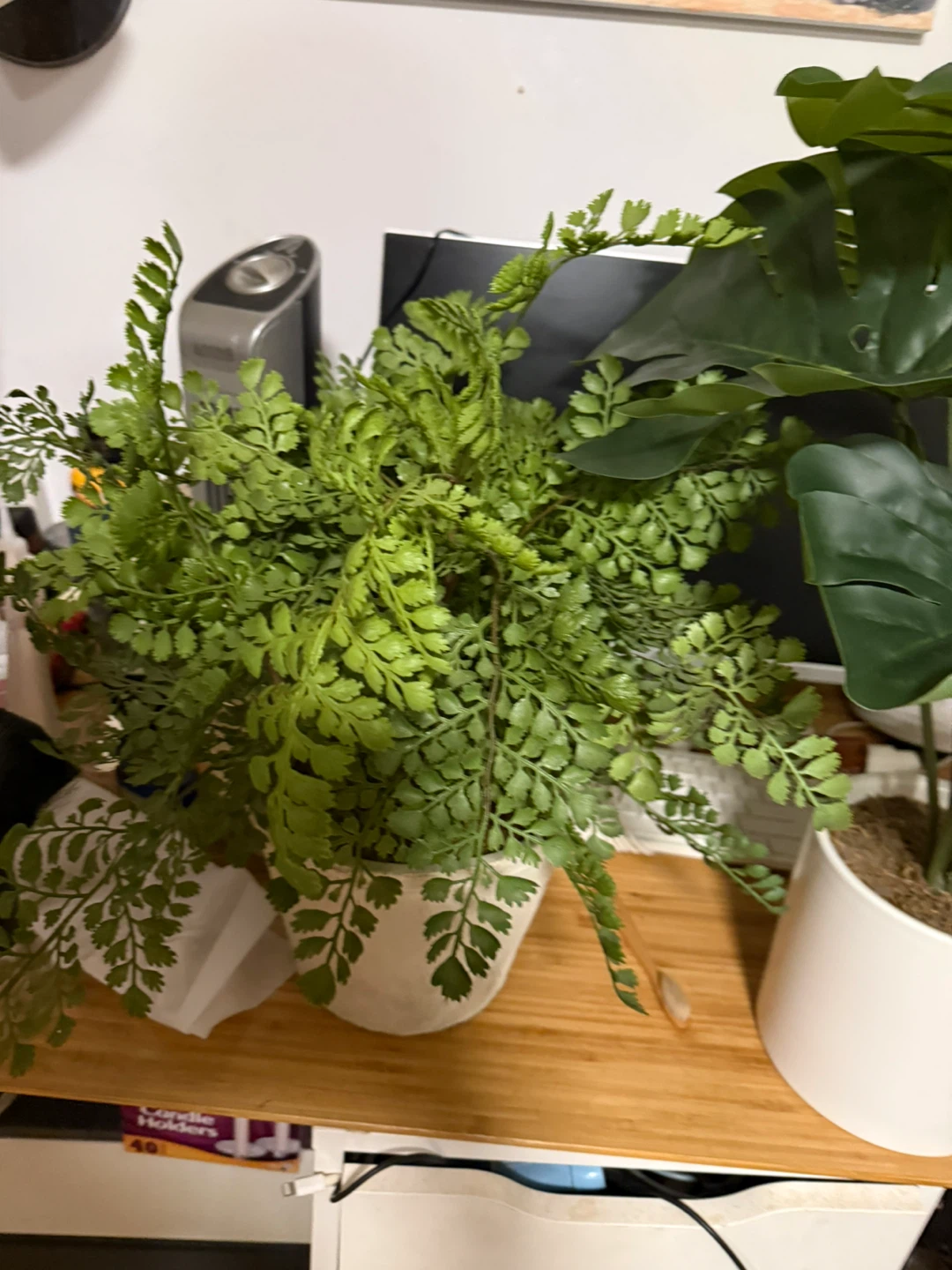 3 Artificial Monstera White Pot+2 - photo 4