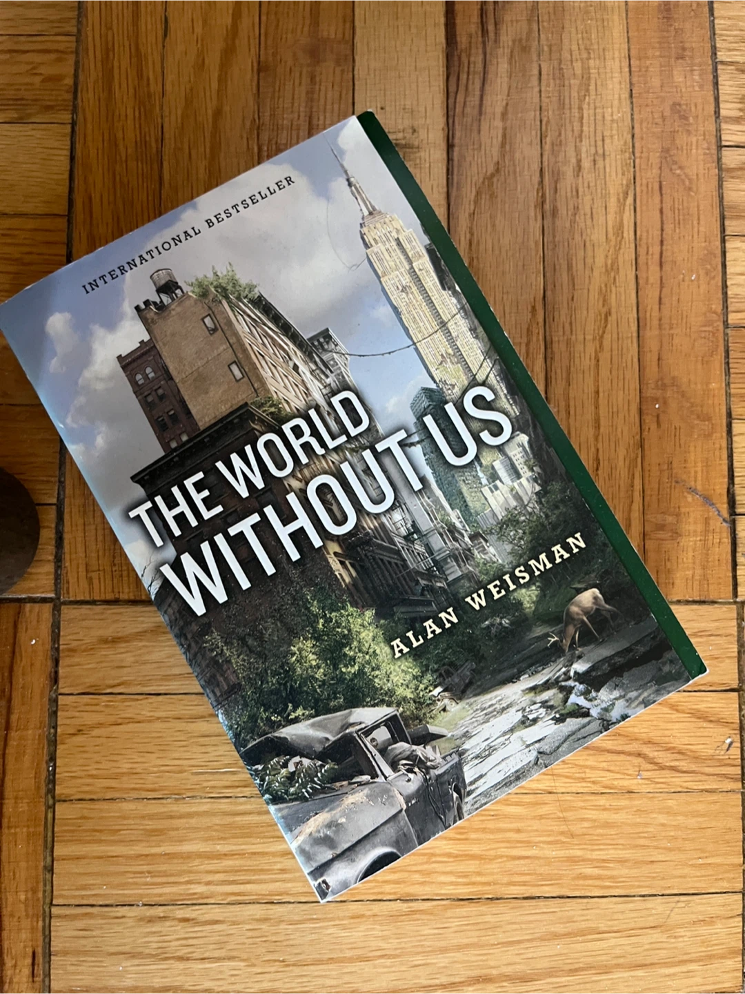 The World Without Us by Alan Weisman