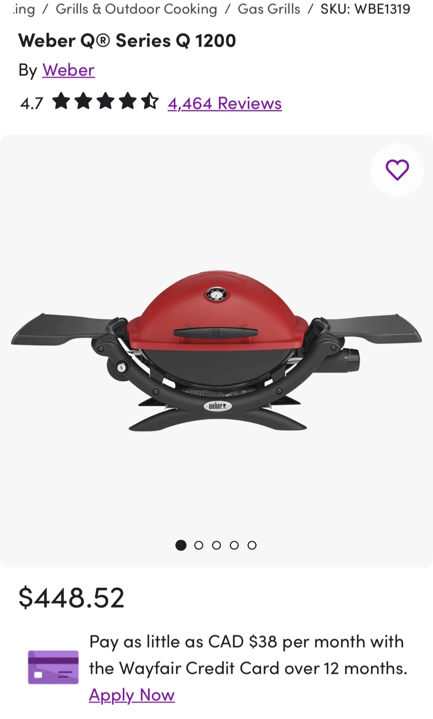 Weber Q Series Q 1200 Portable Propane Grill