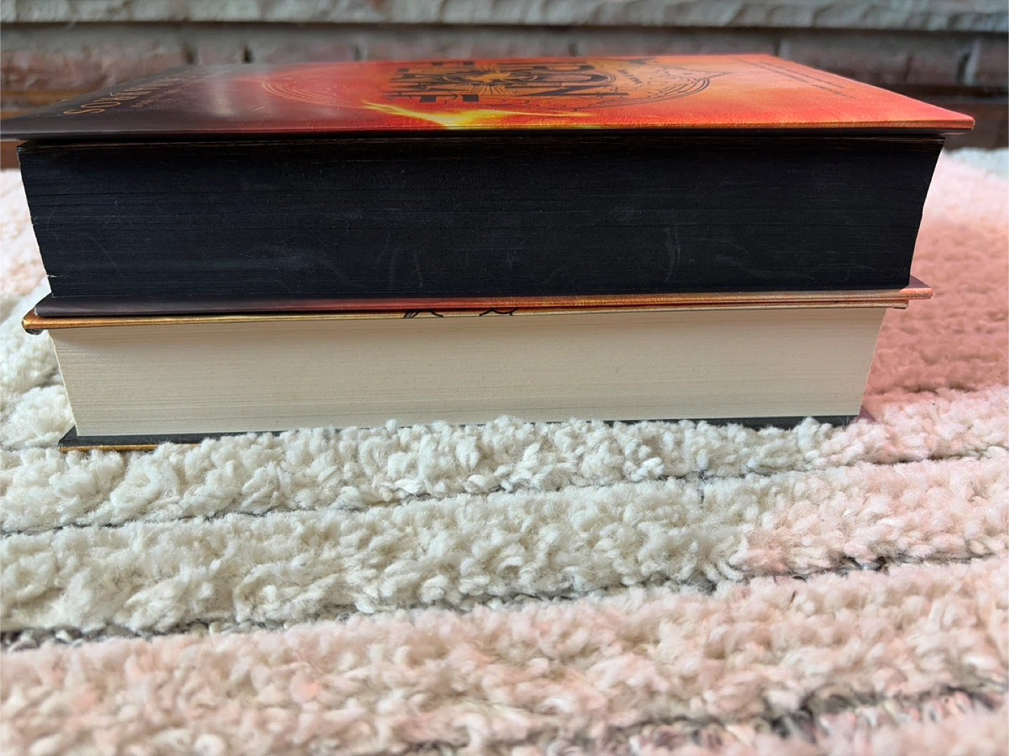 Fourth Wing and Iron Flame Hardcover Books by Rebecca Yarros - photo 3