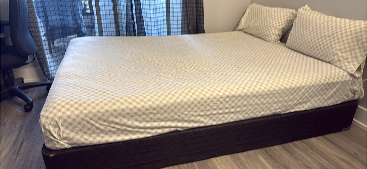 Queen Mattress+Box Spring+Protector+2 Pillows — Clean & Ready - photo 2