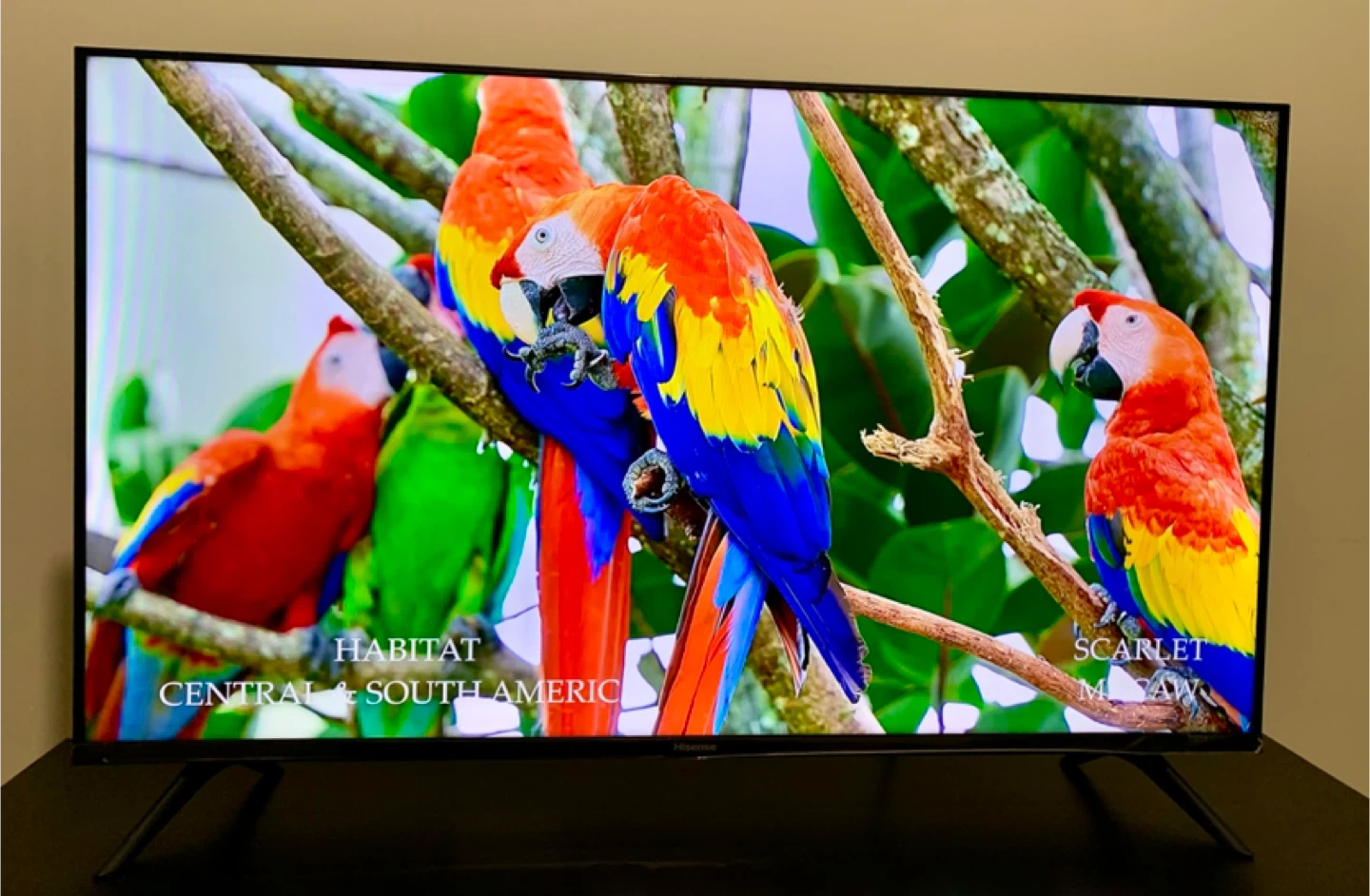 Hisense 40" LED TV