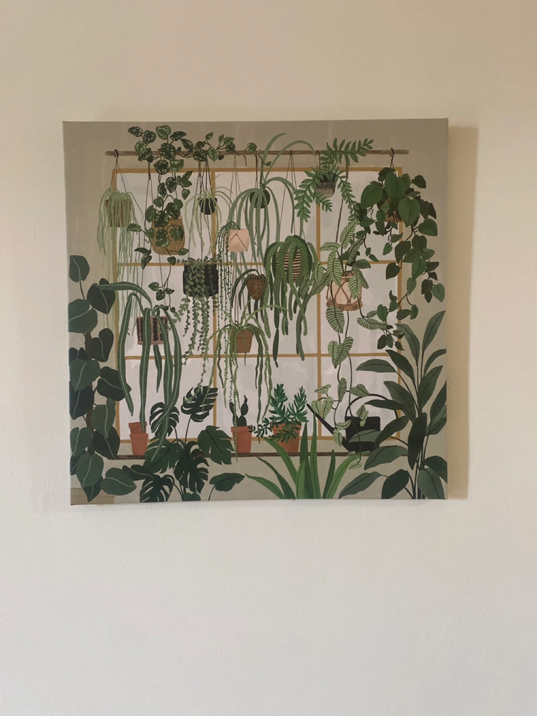 Wall Art Print - Hanging Plants