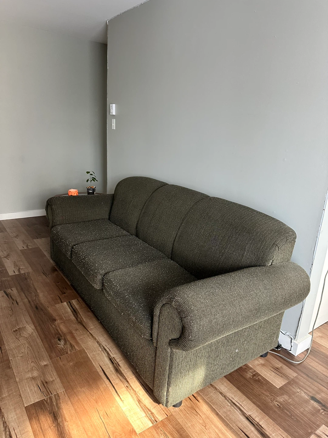 FREE Living Room Furniture + TV - photo 3