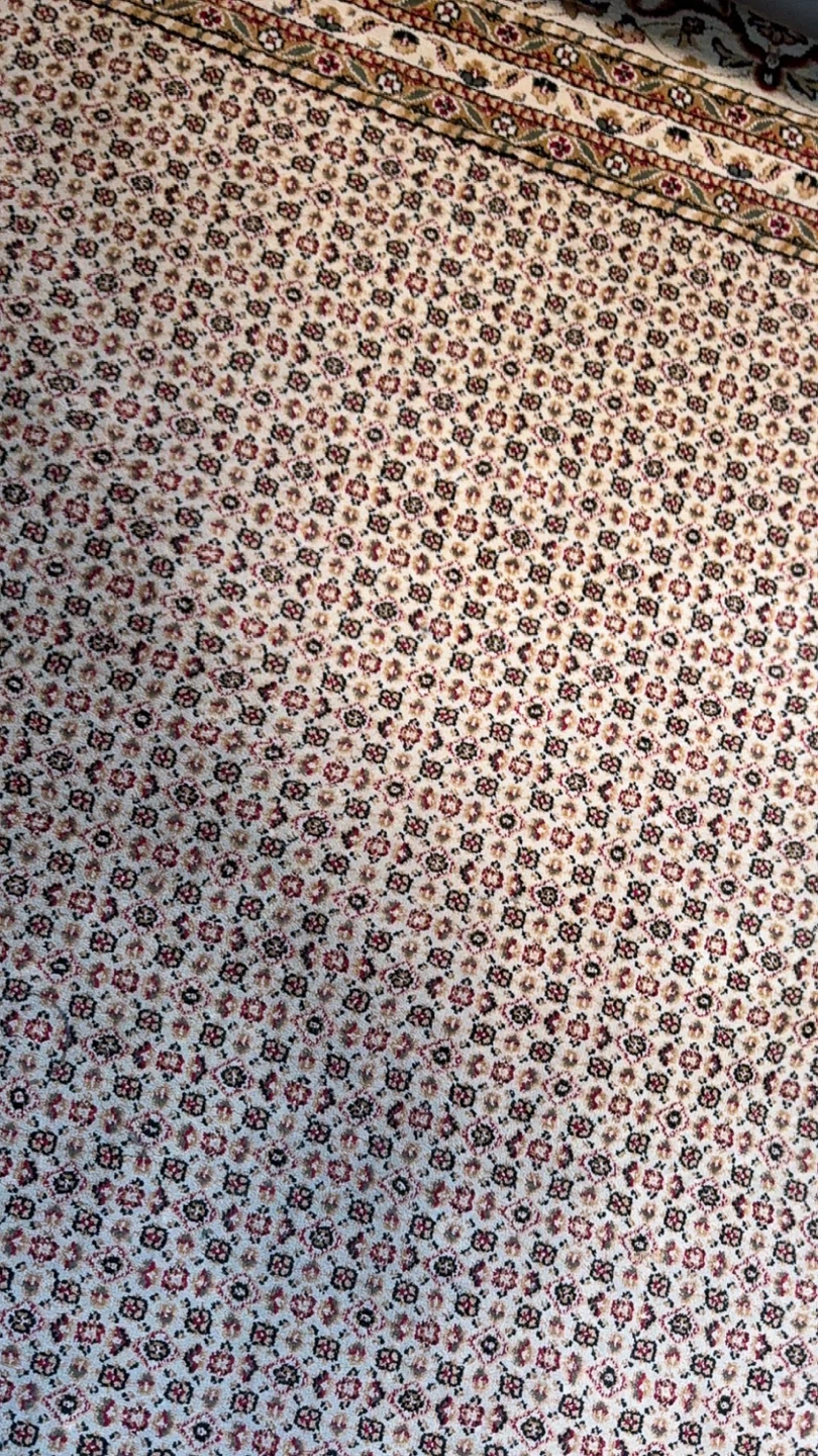 Cream Persian Carpet Rug 7 ft x 10 ft (two of them) - photo 3