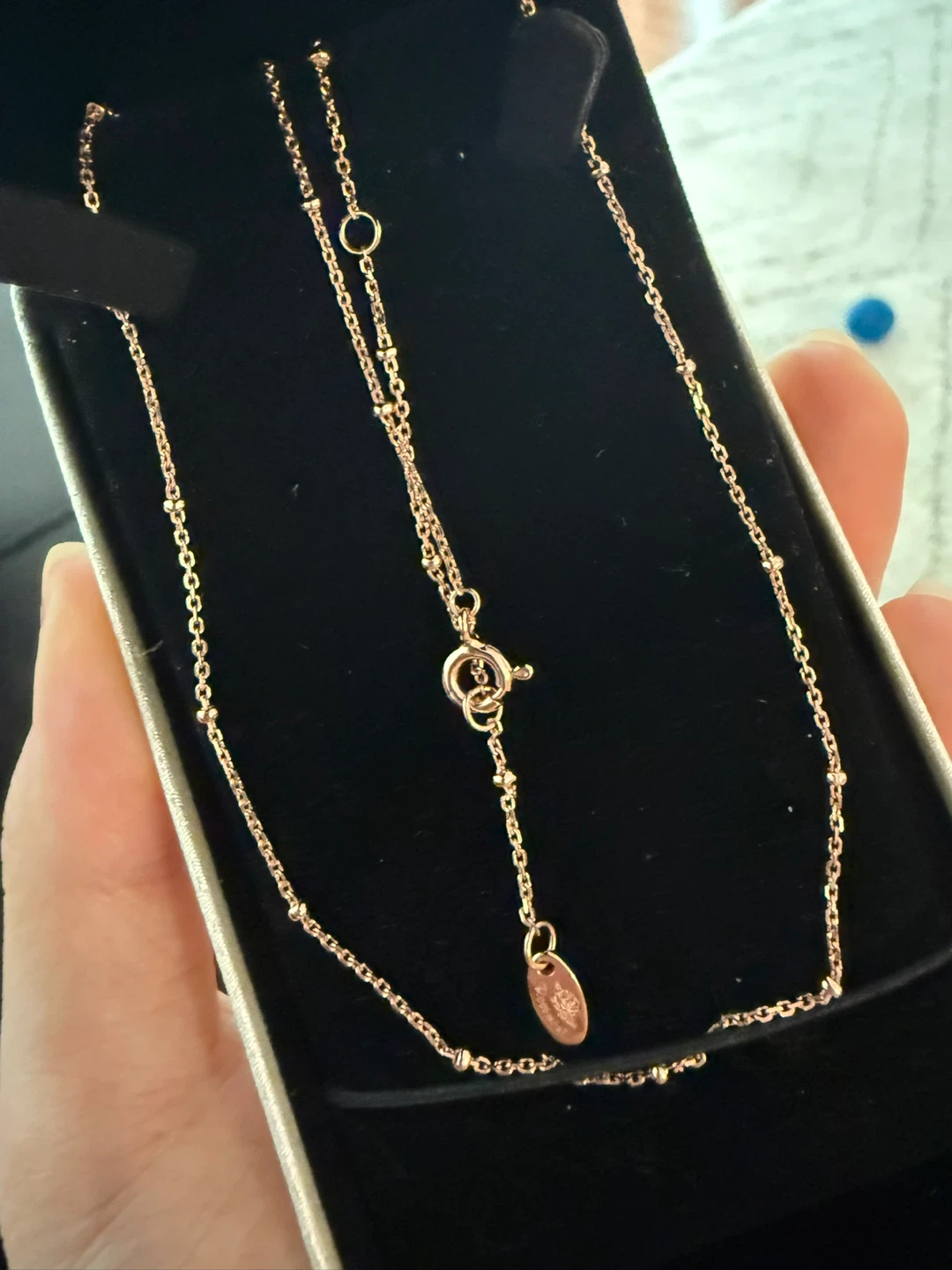 Rosemont silver Necklace
