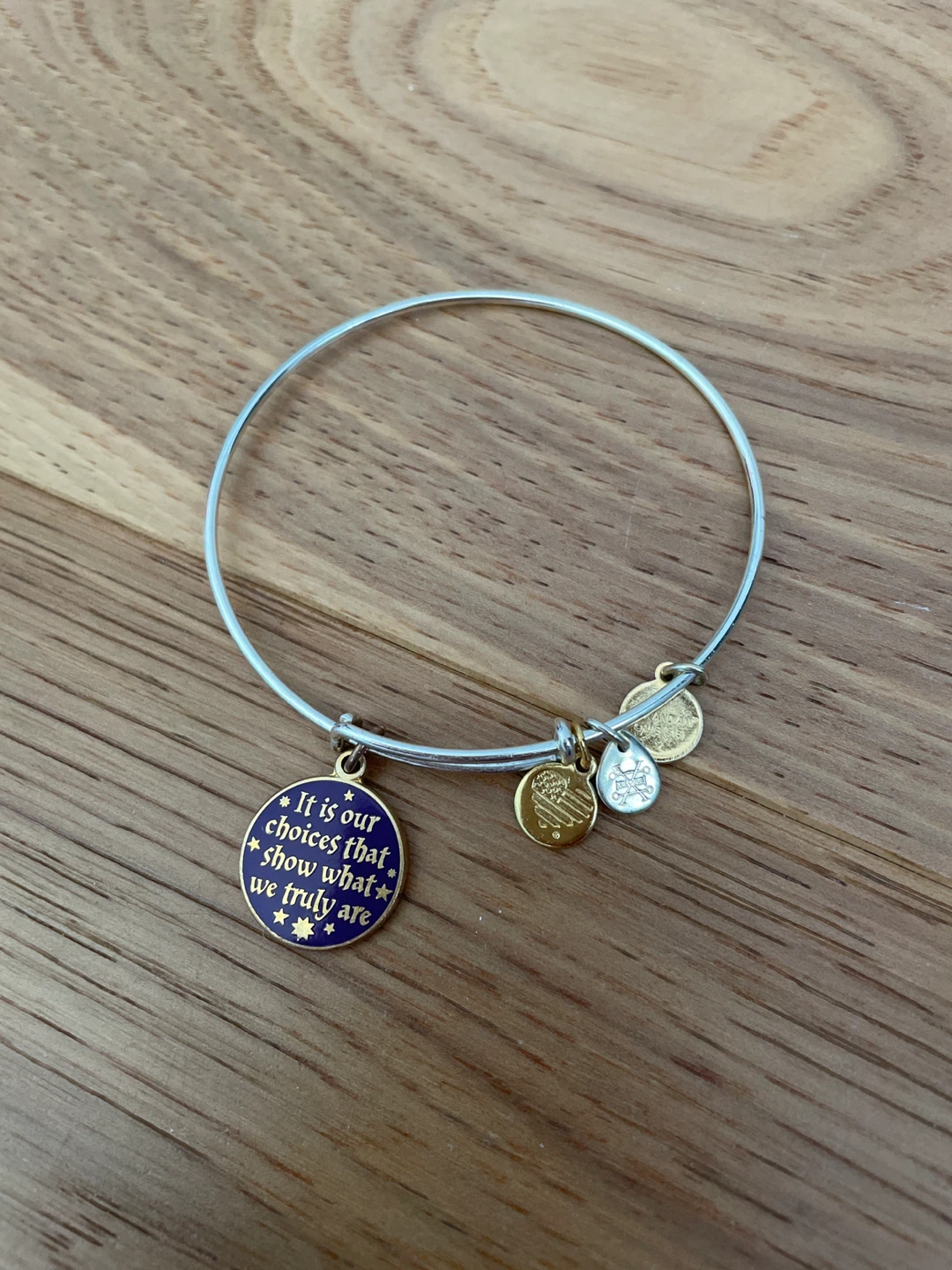 Harry Potter Alex and Ani Bangle Bracelet