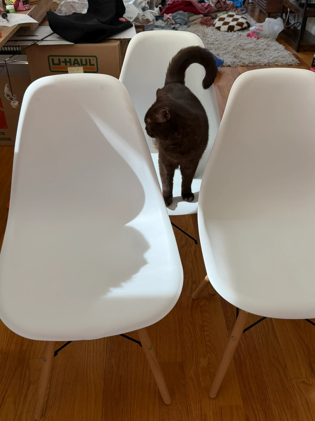 White Dining Chairs - Set of 3