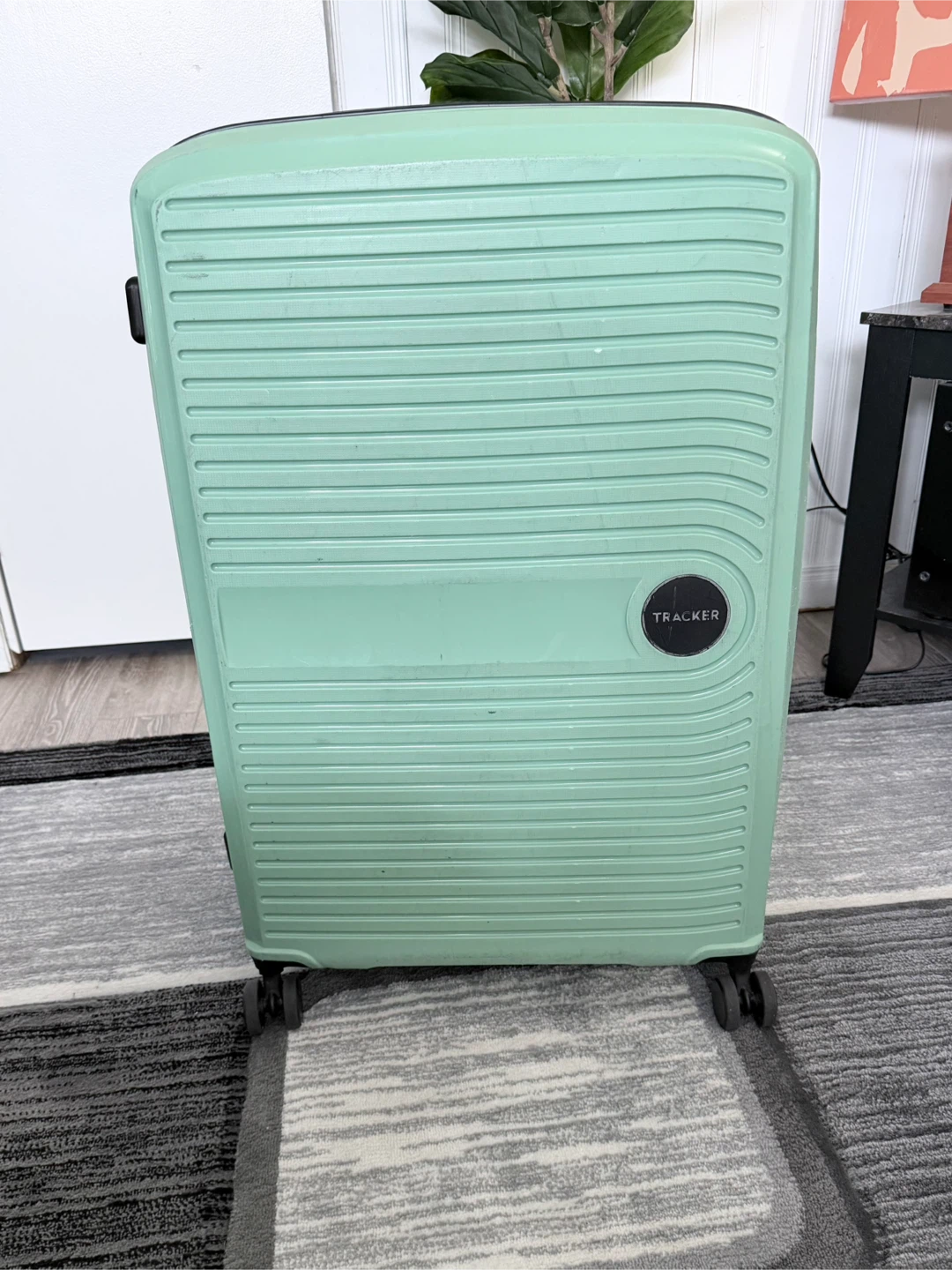 Bentley Tracker Dynamo 29 Spinner Luggage - Mint Green