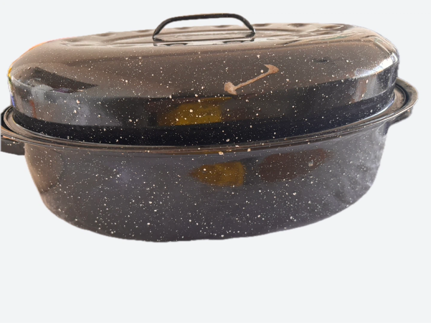 Black Speckled Roasting Pan with Lid