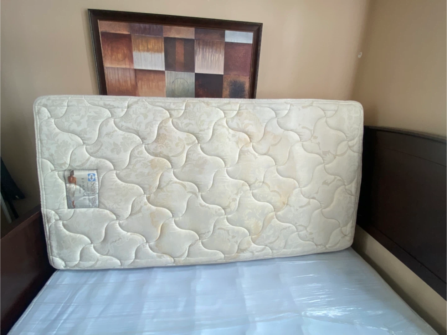 NEED GONE BY MARCH 2ND - Twin SPRING Bed Mattress + Brown Frame)