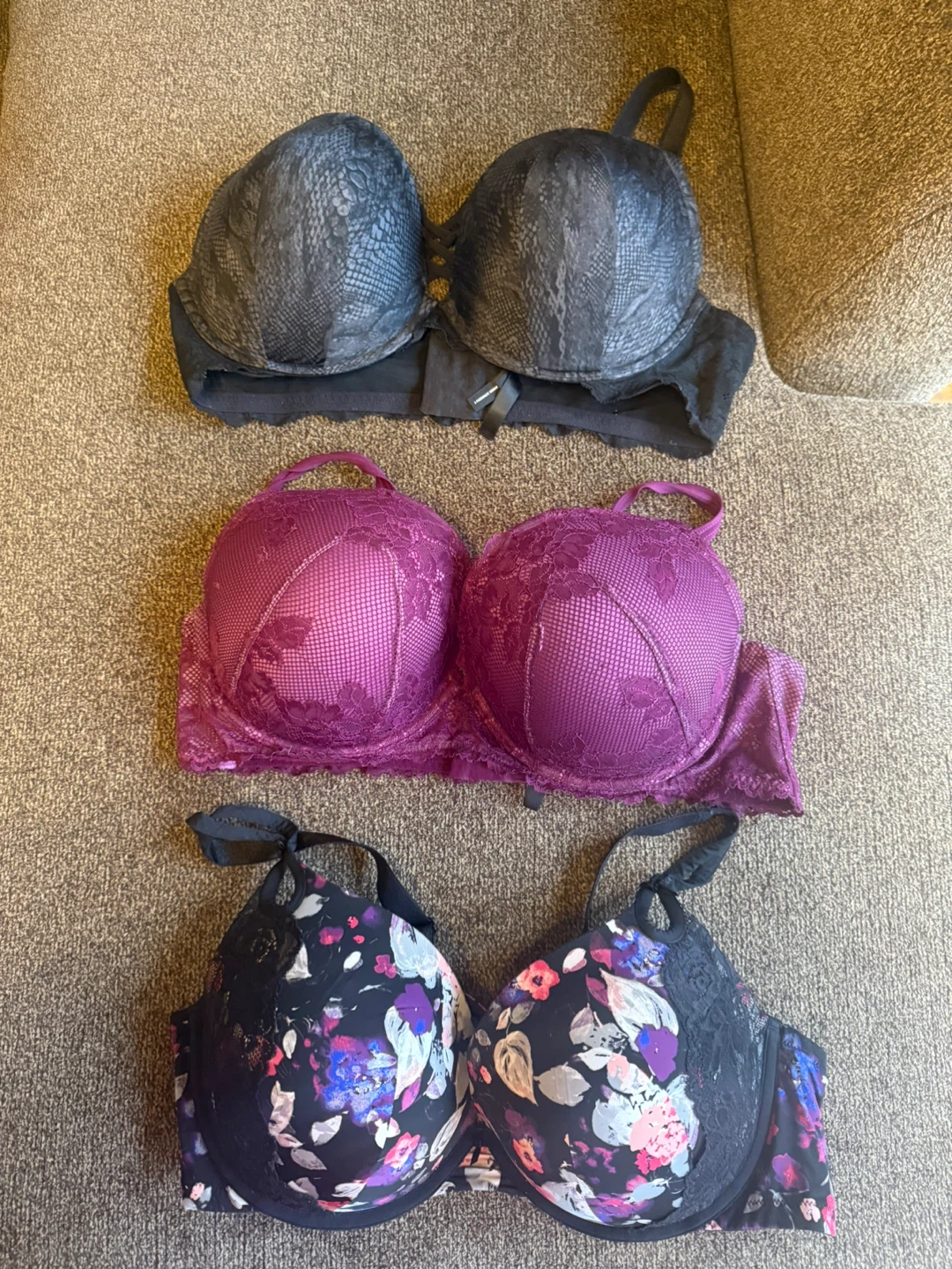 Torrid bras