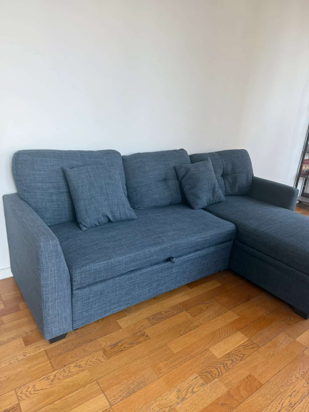 Blue Sectional Sofa with Pull-Out Bed - photo 3