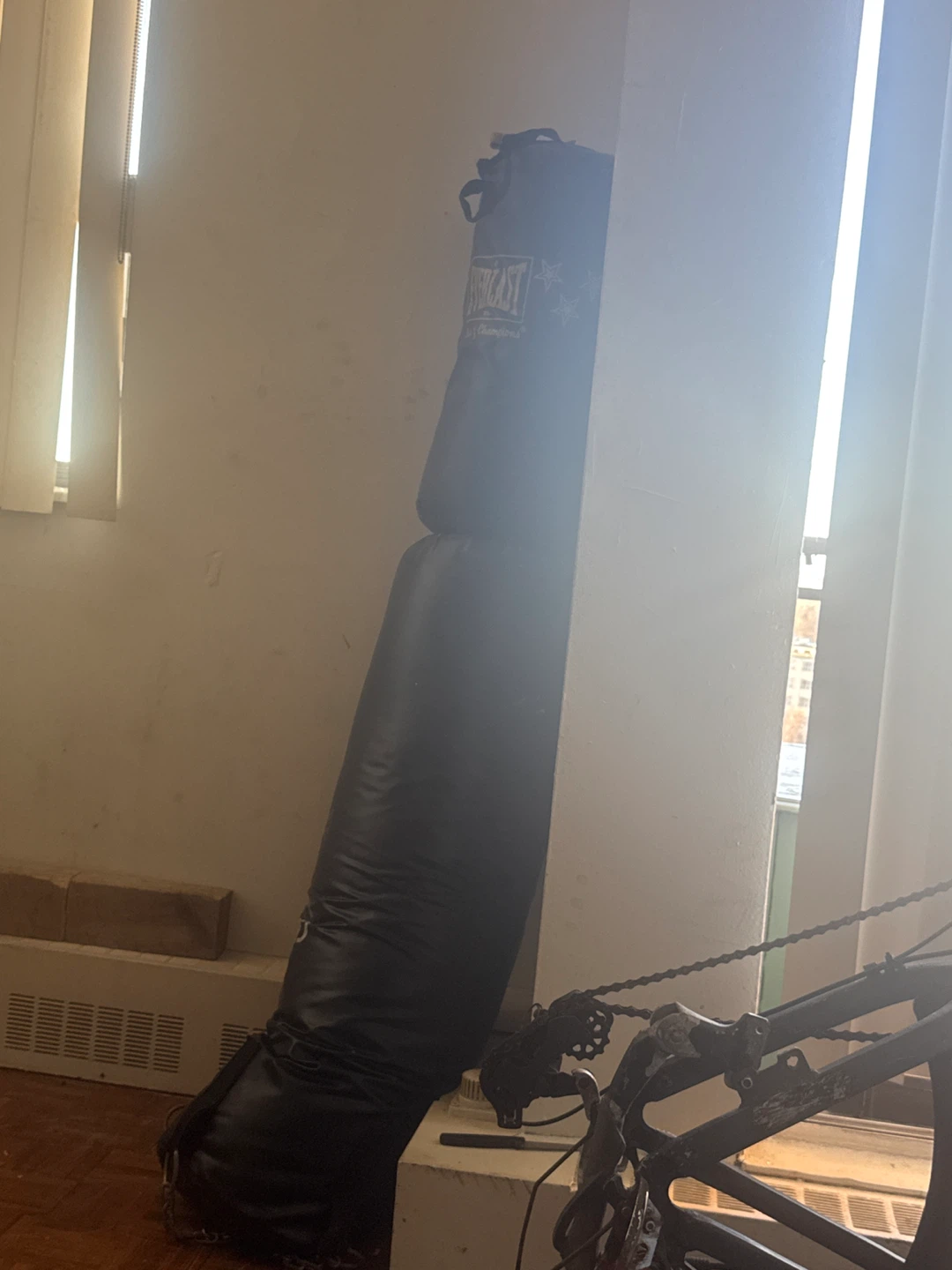 Everlast Punching Bag