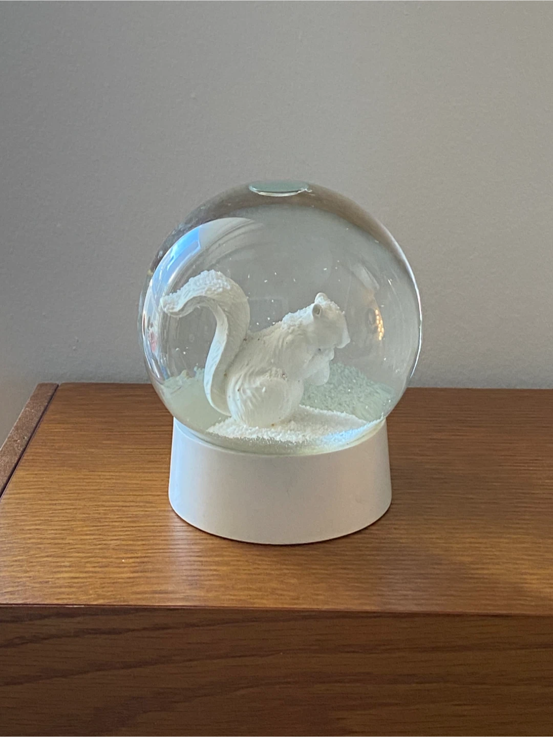 White squirrel snow globe