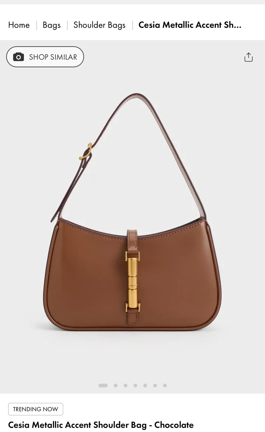 Charles & Keith Brown Shoulder Bag