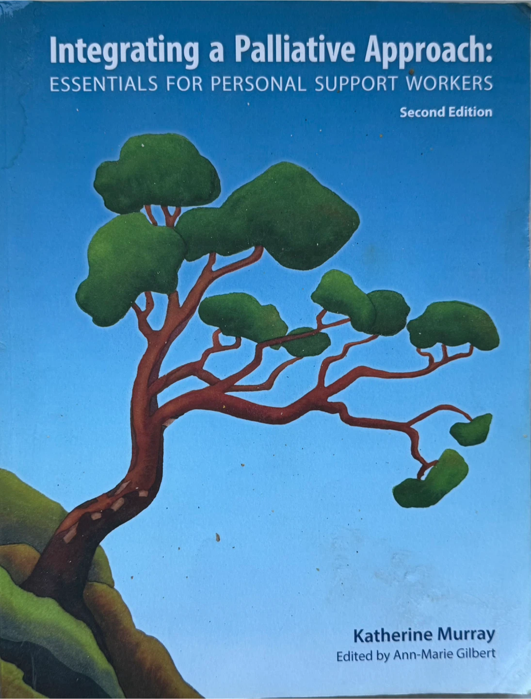 Integrating a Palliative Approach: Essentials for PSW Book
