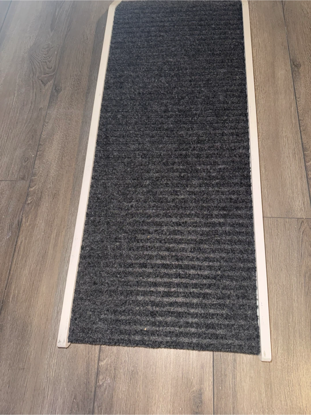 Pet Ramp for Dogs or Cats