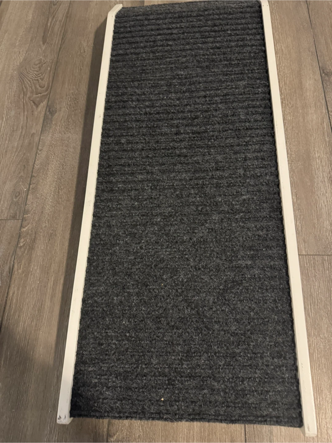 Pet Ramp for Dogs or Cats - photo 4