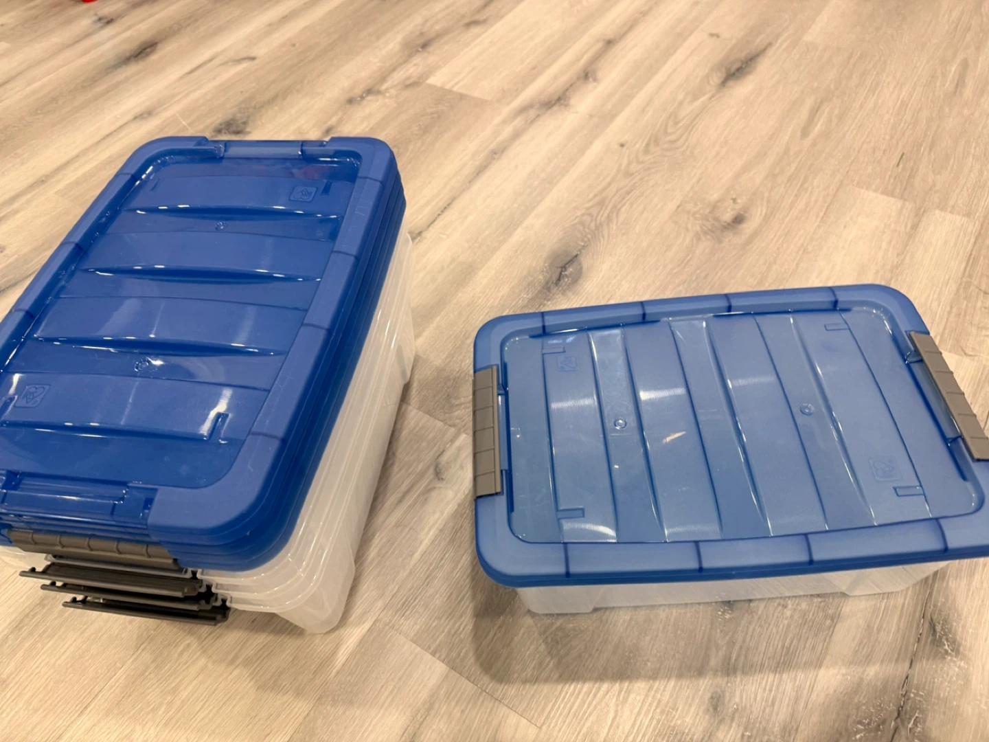 Clear Storage Bin with Blue Lid - photo 2