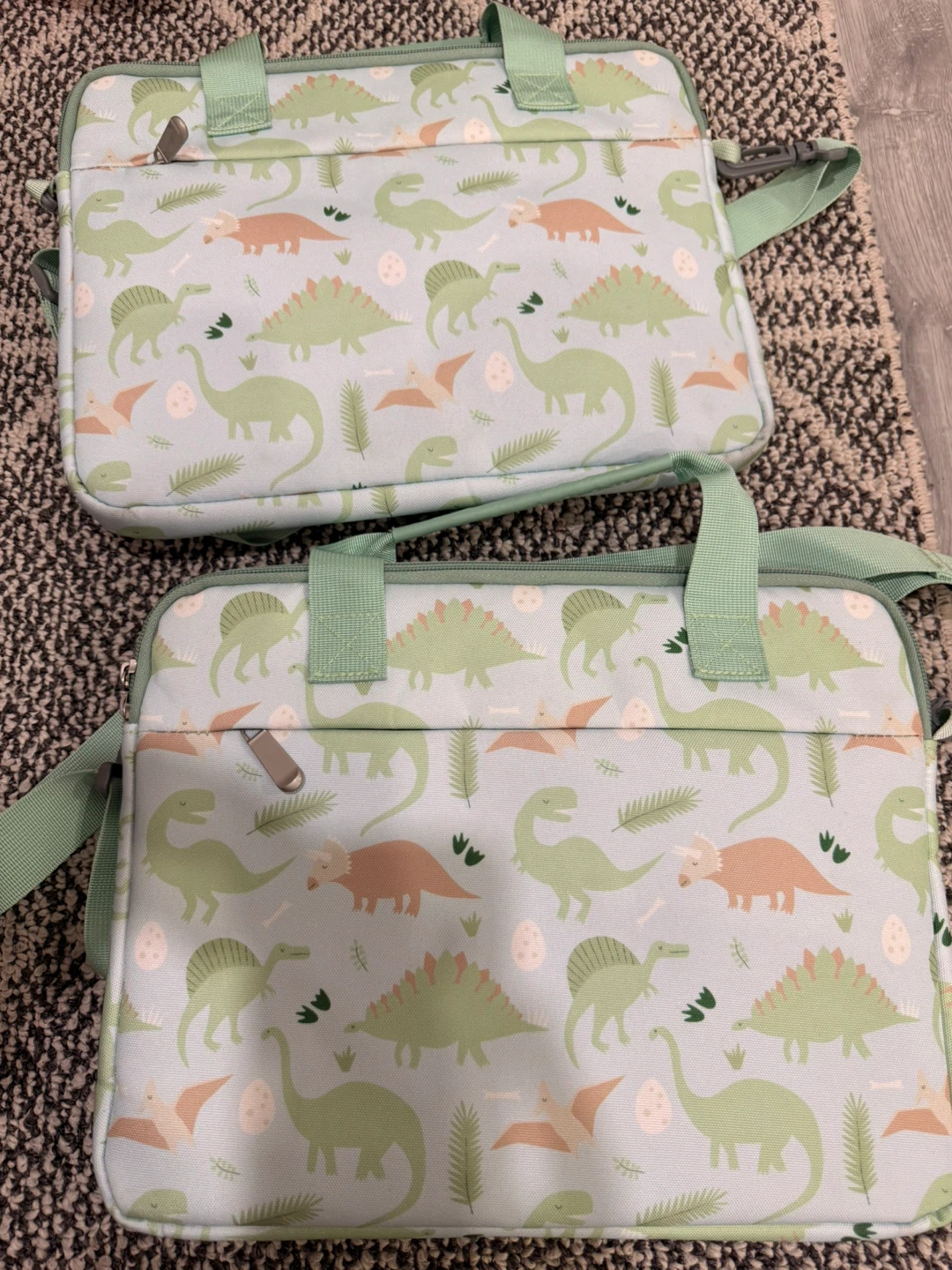 Dinosaur Print Lunch Bags (Set of 2)