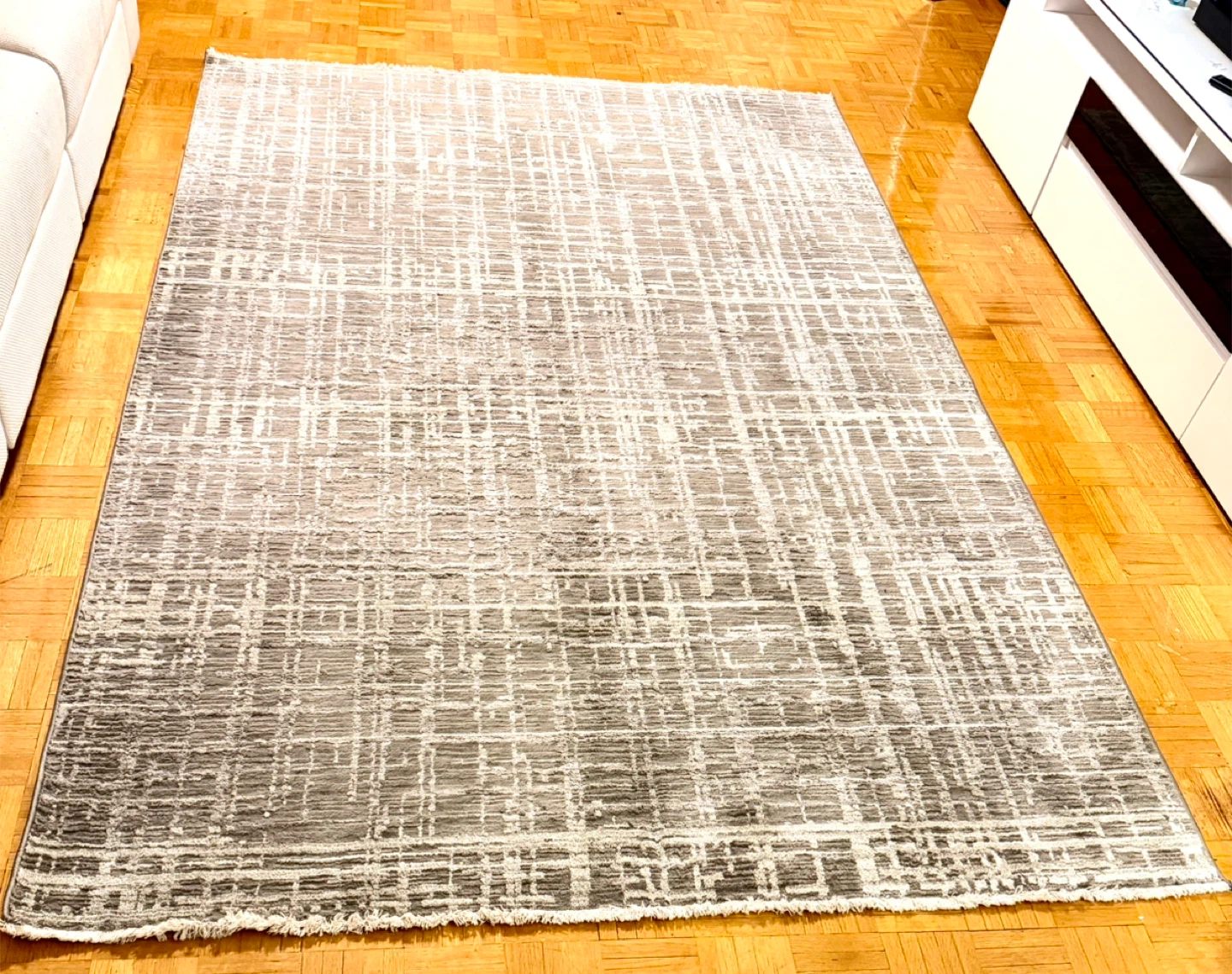 Area Rug up for grabs
