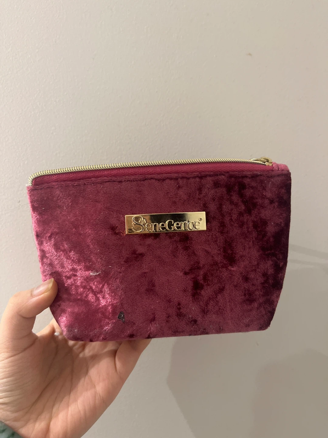 SeneGence Velvet Cosmetic Bag