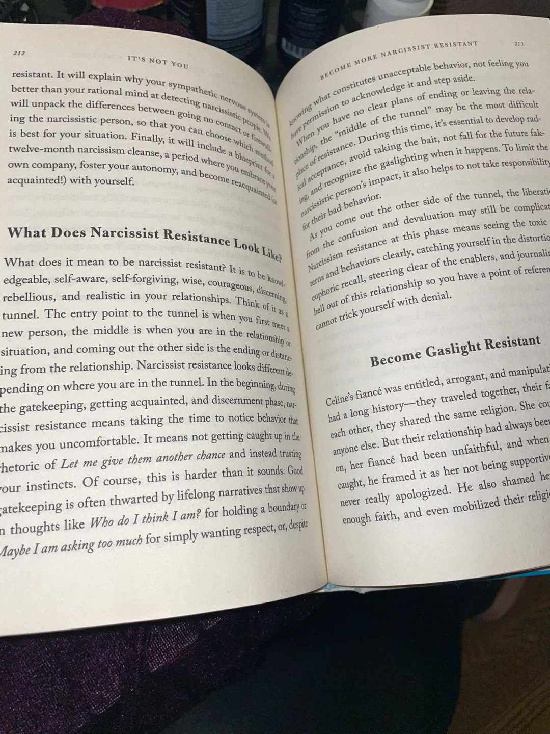 It's Not You by Ramani Durvasula, PhD - photo 4