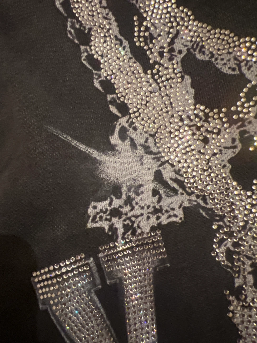 Valley Rhinestone Hoodie - photo 4