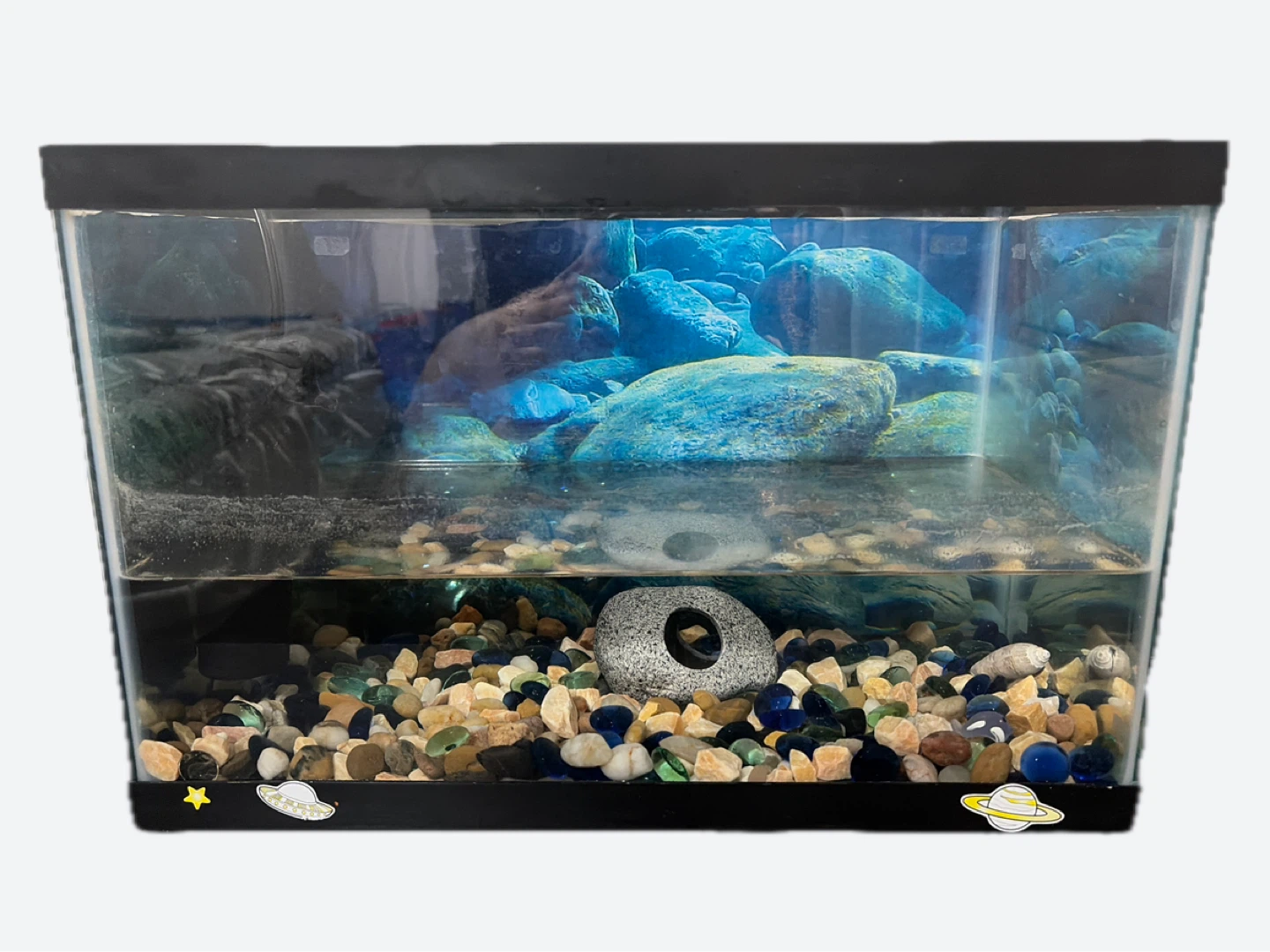 Small Aquarium Tank with Decorative Rocks
