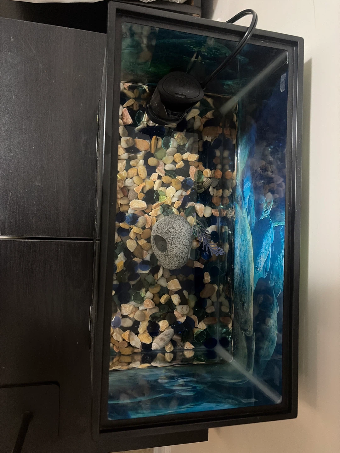 Small Aquarium Tank with Decorative Rocks - photo 3