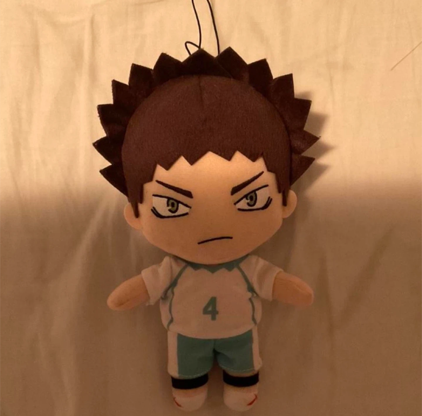Haikyuu! Iwaizumi Plush Toy