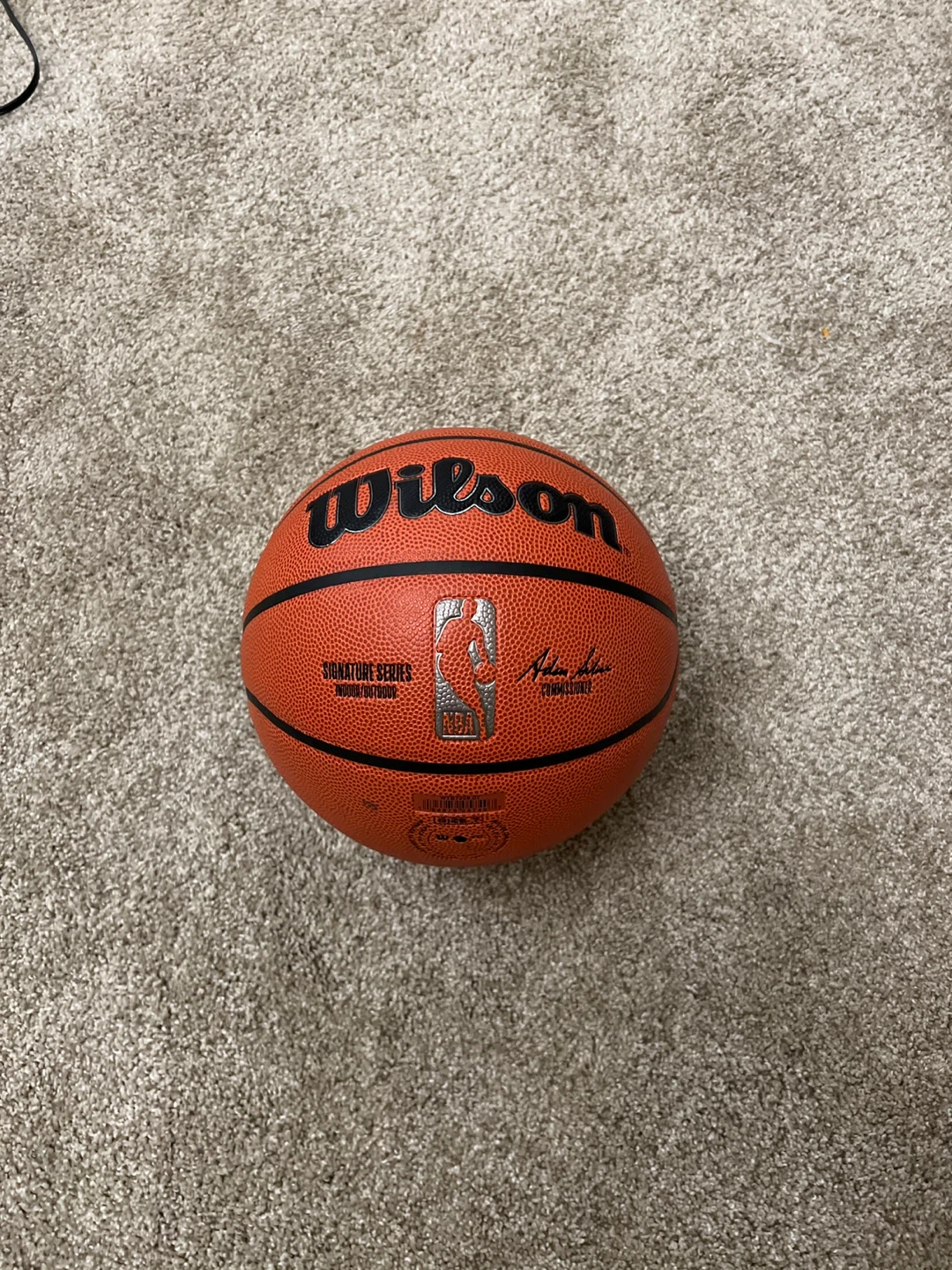 Wilson Signature Series NBA Basketball