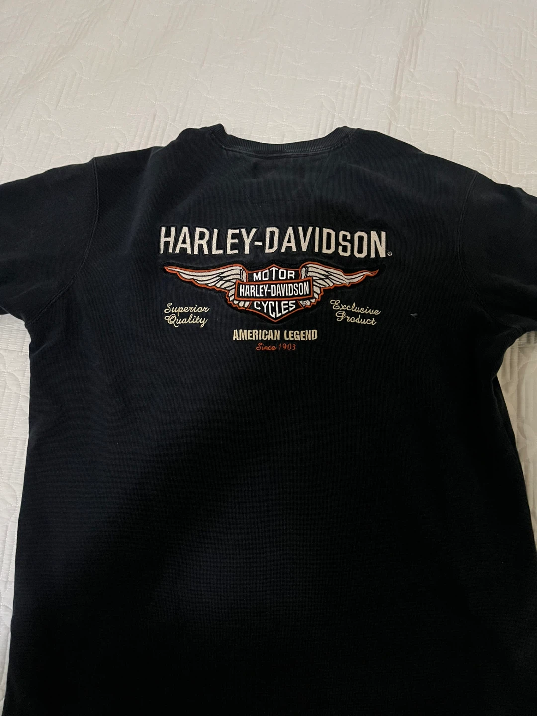 Vintage Harley-Davidson Embroidered Long Sleeve (until May) - photo 3