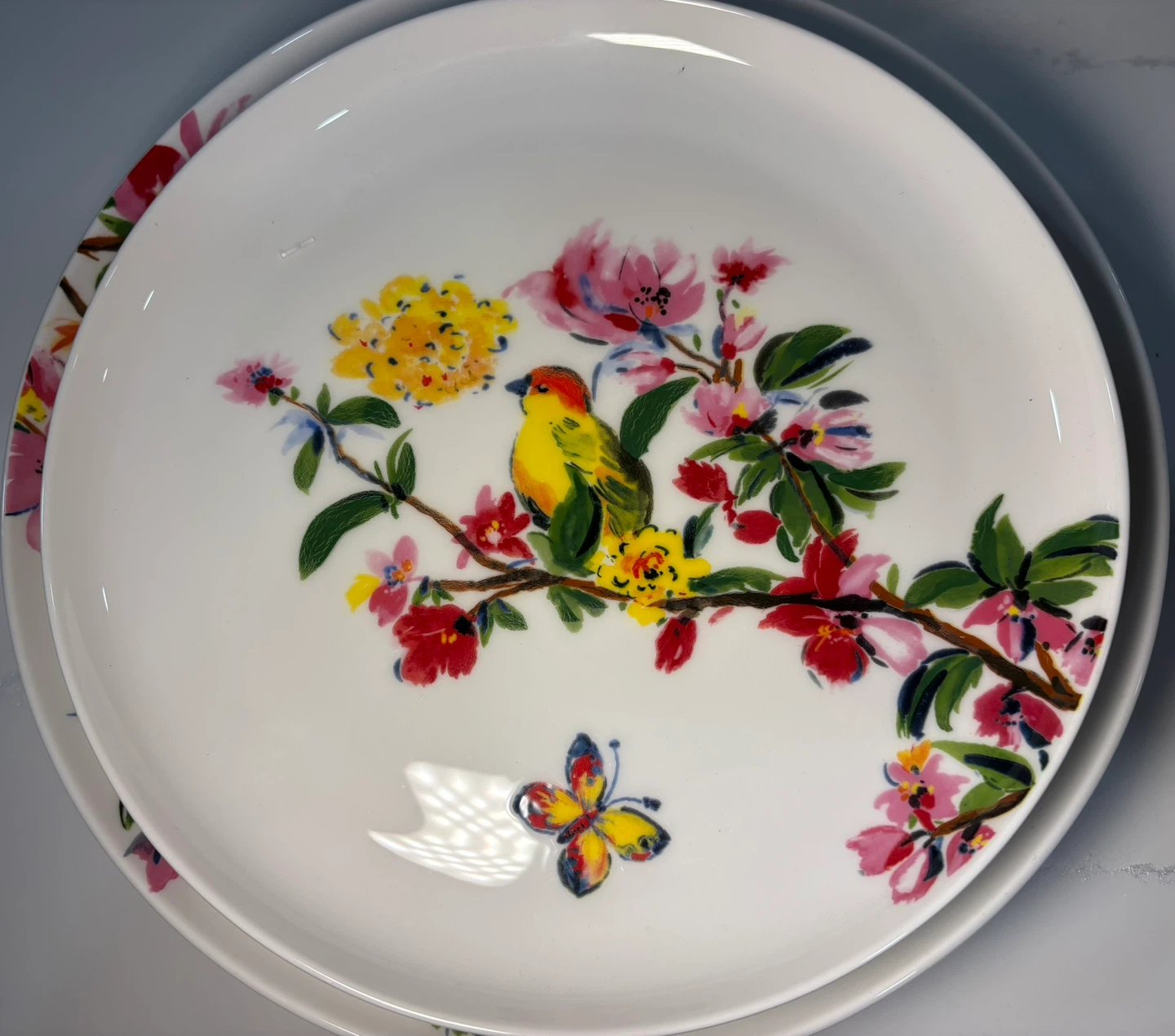 Mikasa Butterfly Garden Bone China Plates Set - photo 4