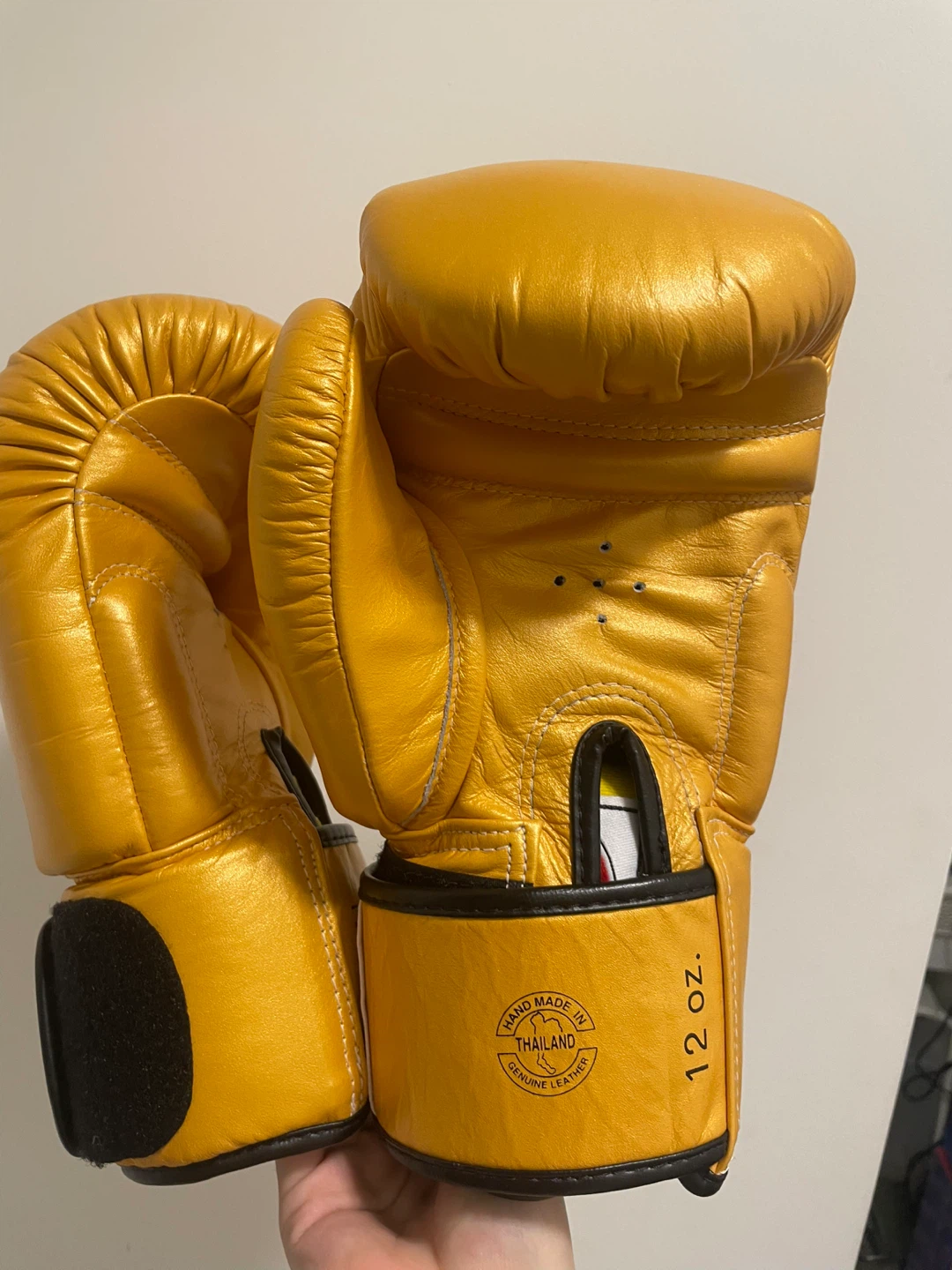 Fairtex Gold Boxing Gloves 12 oz.