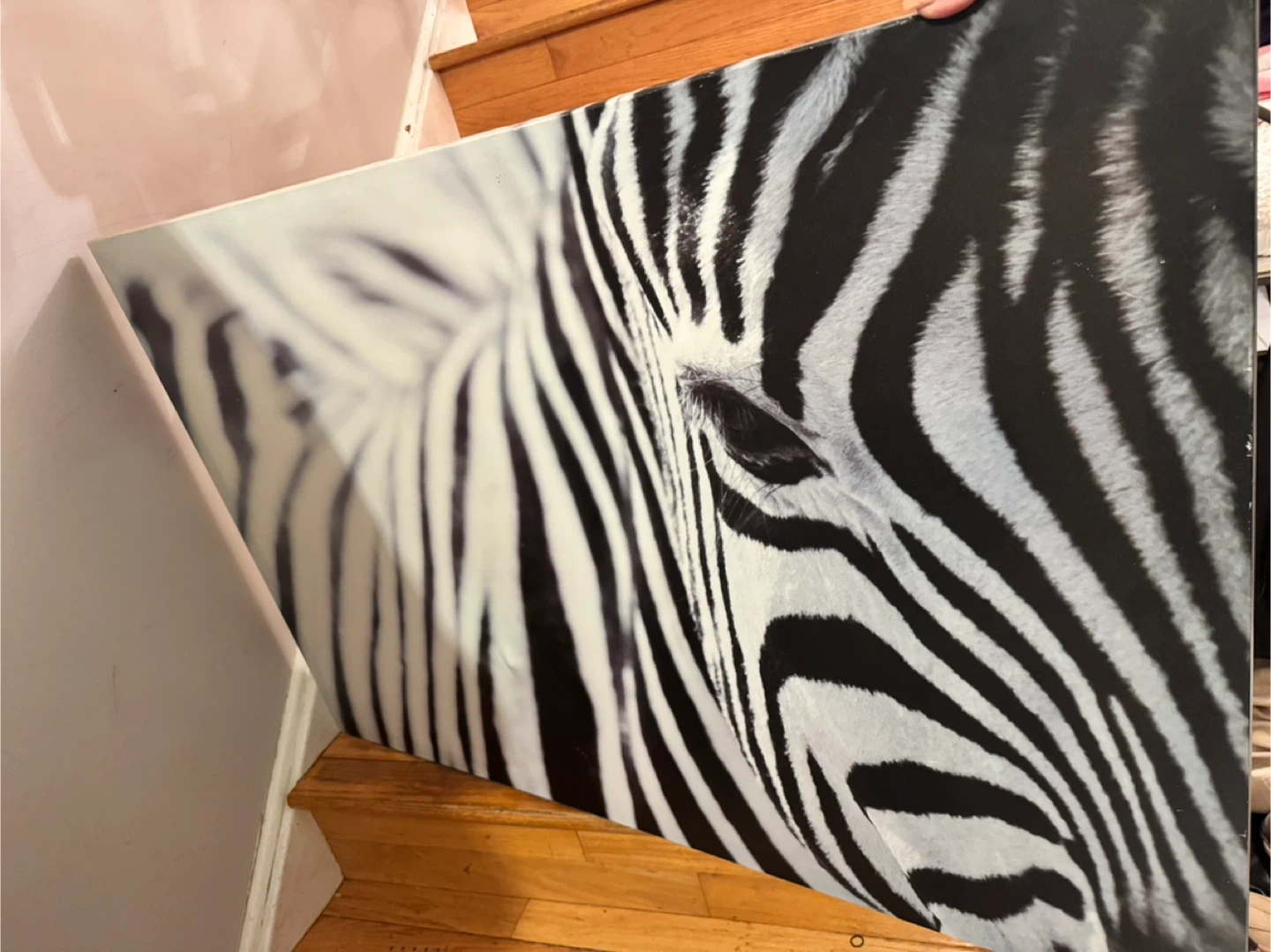 Large Zebra Face Canvas Wall Art