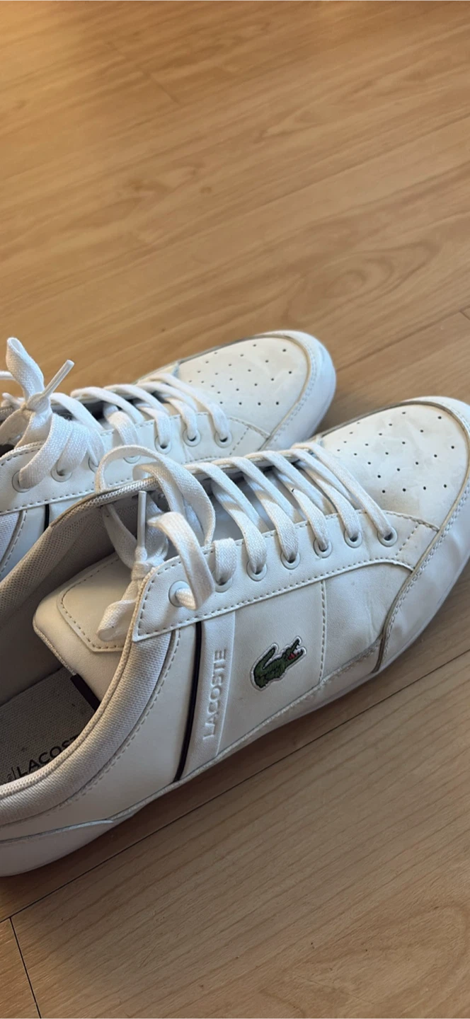 White Lacoste Sneakers