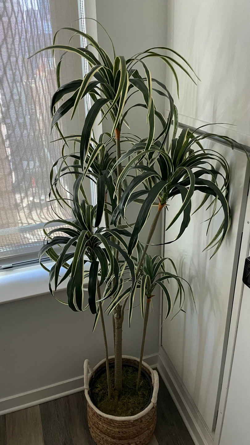 Artificial Plant in Woven Basket - photo 3