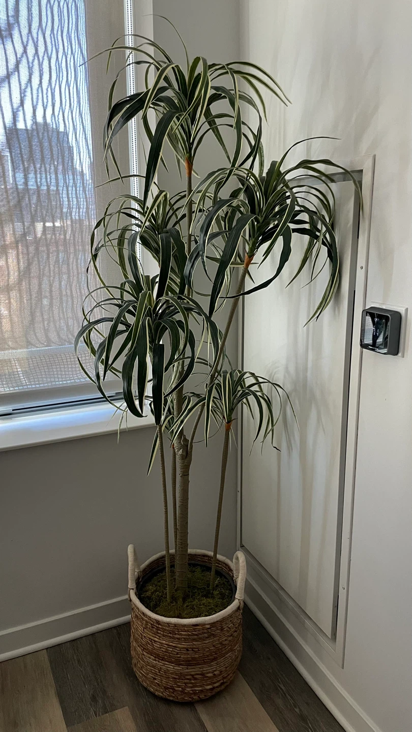 Artificial Plant in Woven Basket