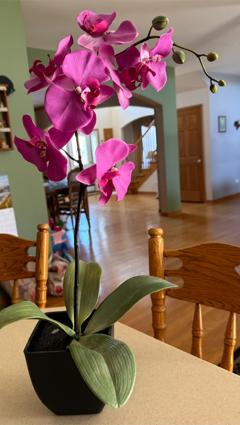 Three Artificial Orchids in pot containers