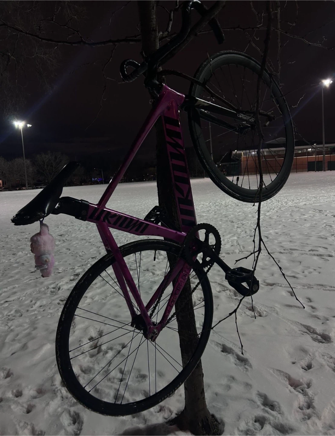 Unknown pink - photo 5