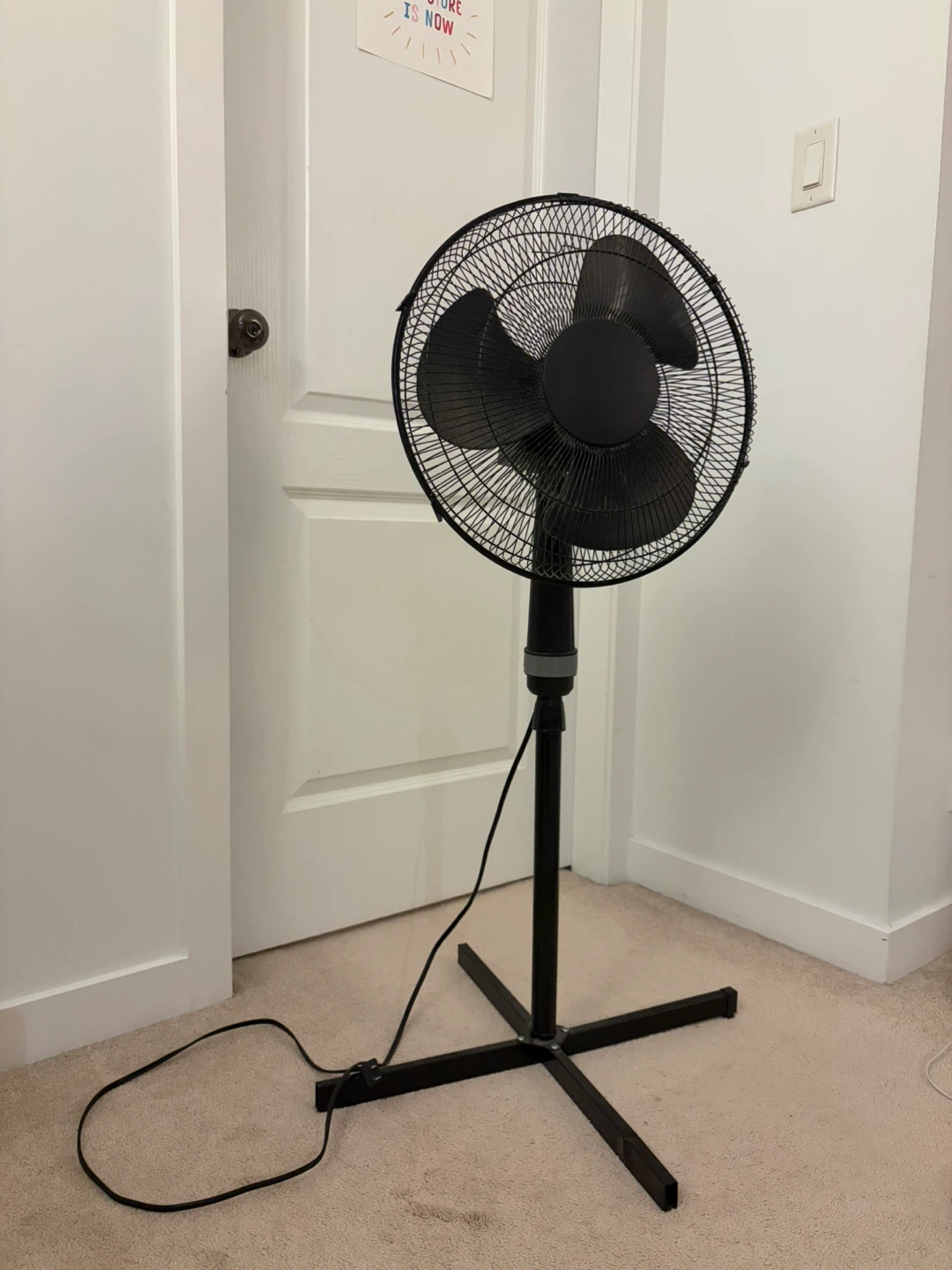 Black Pedestal Fan