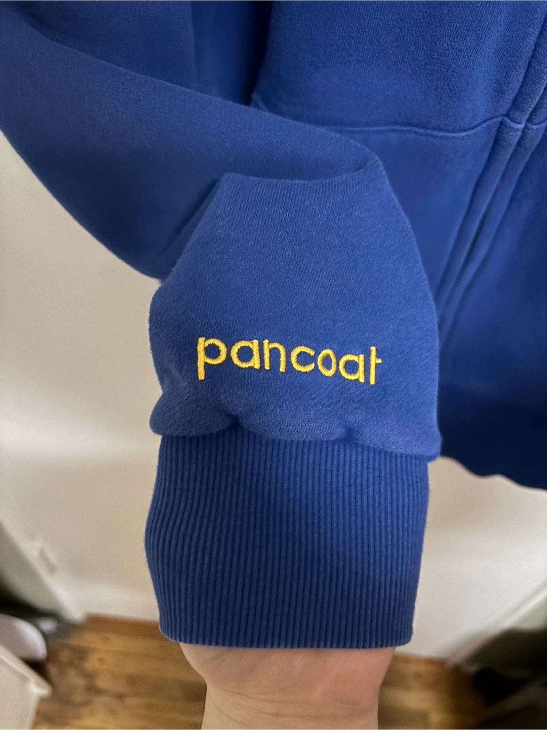 Pancoat Blue Zip-Up Hoodie with Character Patch - photo 5