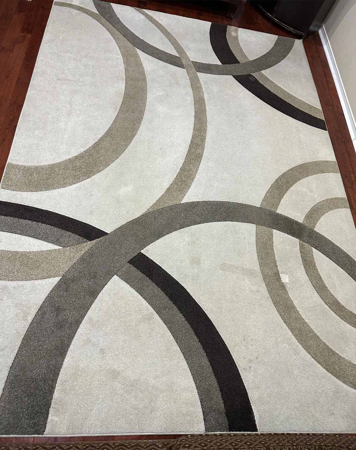 Modern Abstract Swirl Area Rug - photo 2